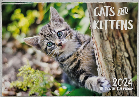 Calendar 2024 Cats and Kittens