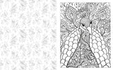 Birds and Butterflies Adult Colouring Book