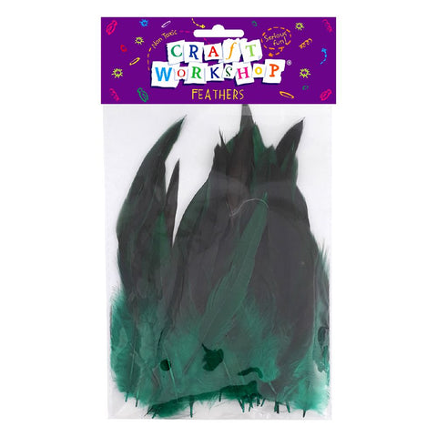 Craft Feathers Green/Black 12-18cm 5g