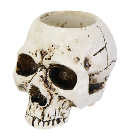 Skull Candle Holder