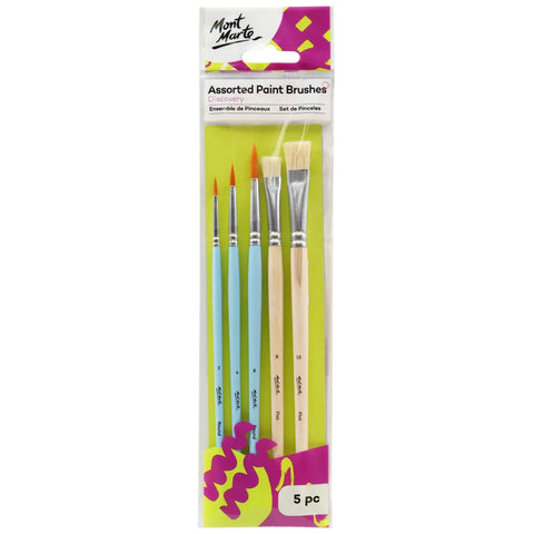 Discovery Paint Brushes 5pc