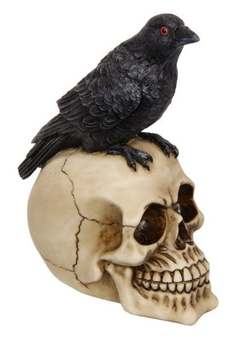 Raven on Skull 22cm