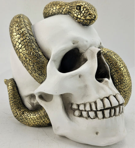 Skull White Gold Snake
