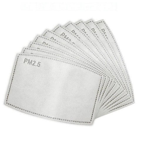 PM2.5 Filters For Reusable Face Masks 10pk