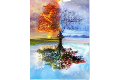 5d Diamond Art 4 Seasons 30x40cm