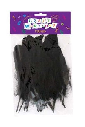 CRAFT FEATHERS BLACK LGE