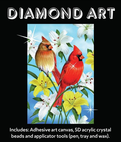 5D Diamond Art Kit 15x20cm Two Birds